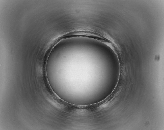 X0000091970203200709131346