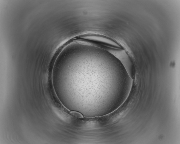 X0000091970204200709131346