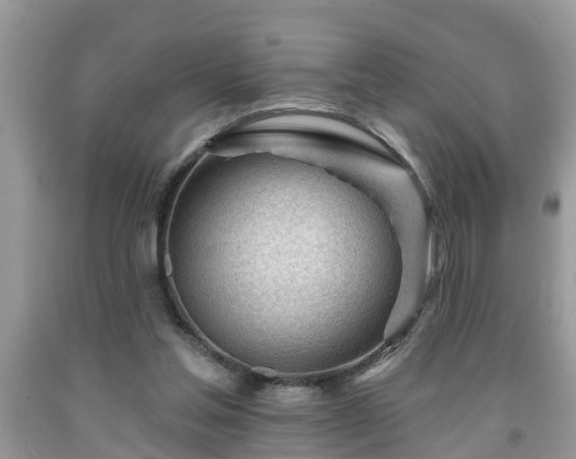 X0000091970205200709131345