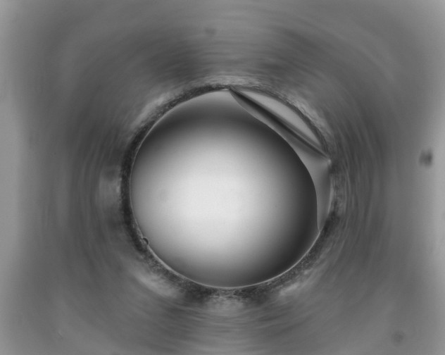 X0000091970207200709131345