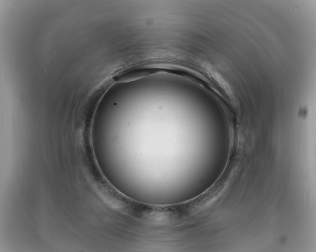 X0000091970209200709131345