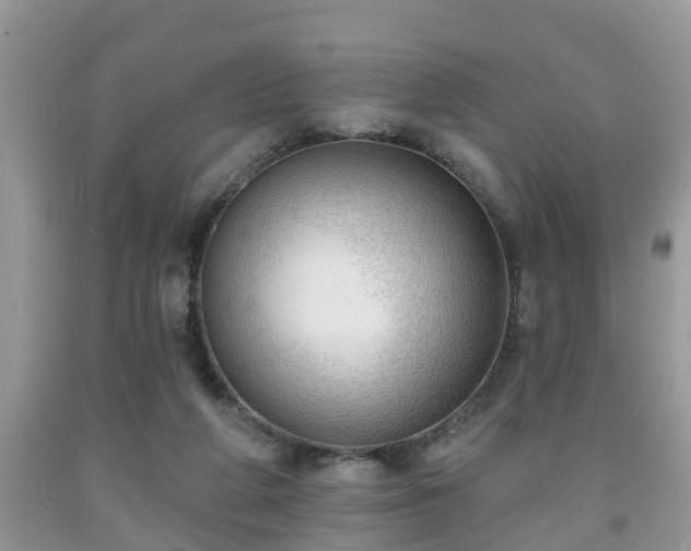 X0000091970210200709131345