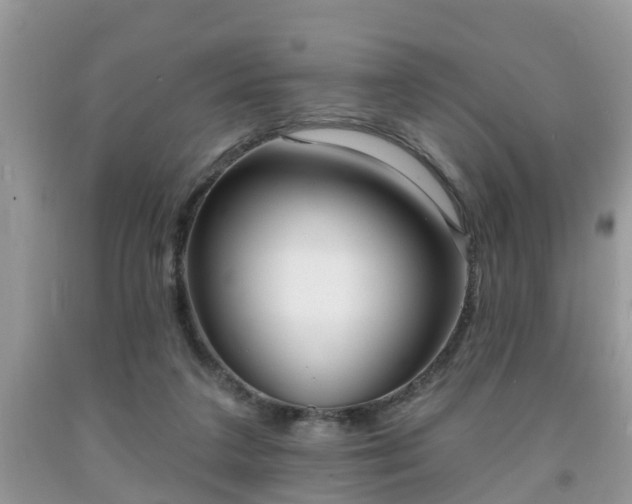X0000091970211200709131345