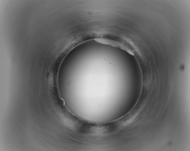 X0000091970213200709131345