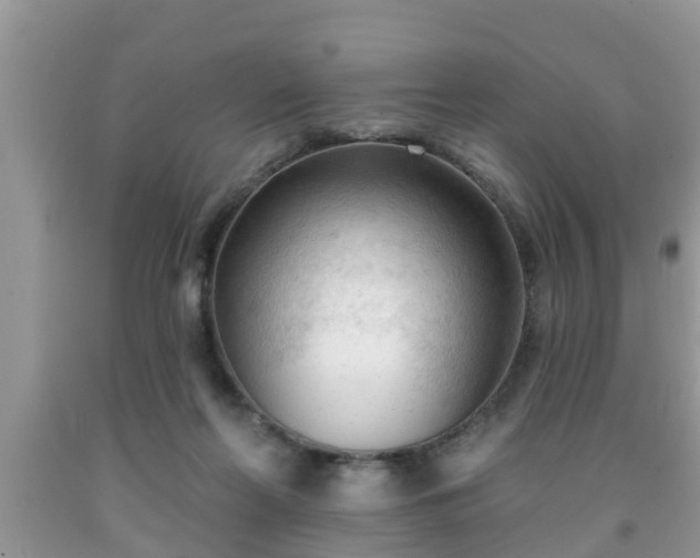 X0000091970214200709131345