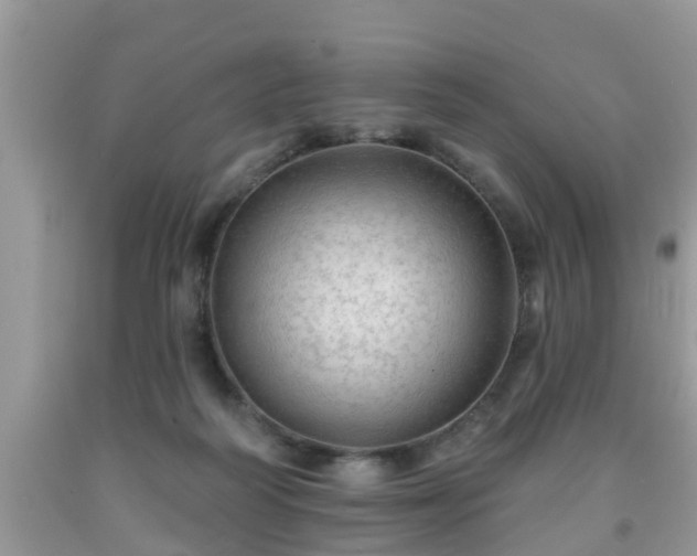 X0000091970218200709131345