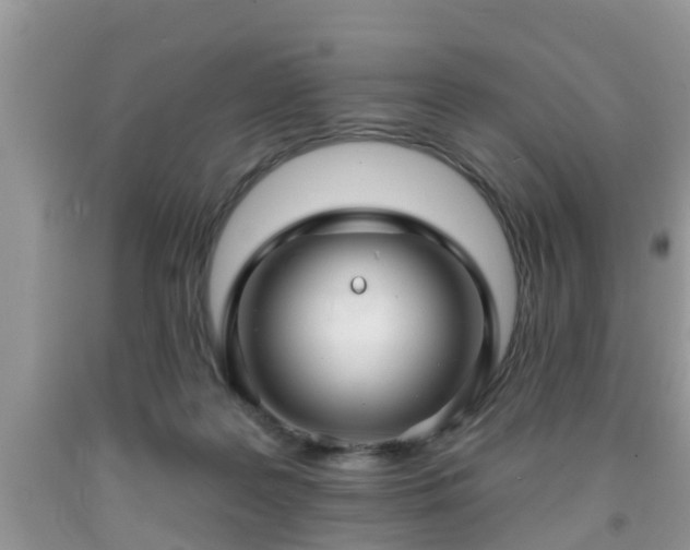 X0000091970219200709131345