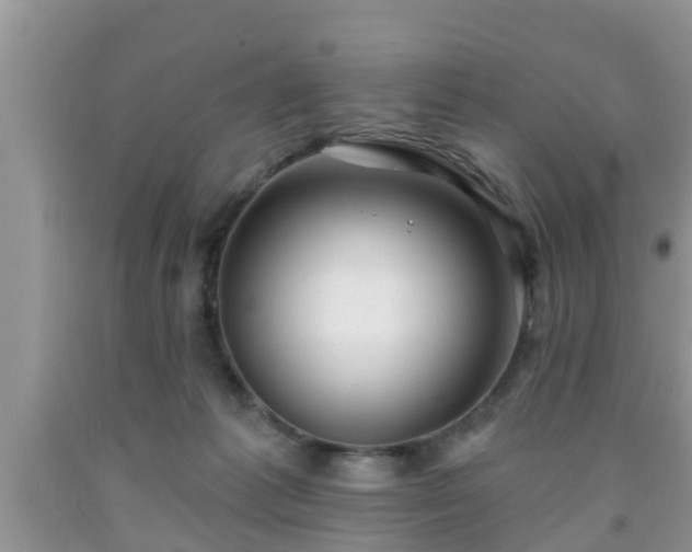 X0000091970221200709131345