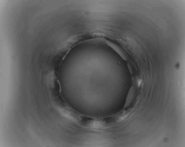 X0000091970223200709131345