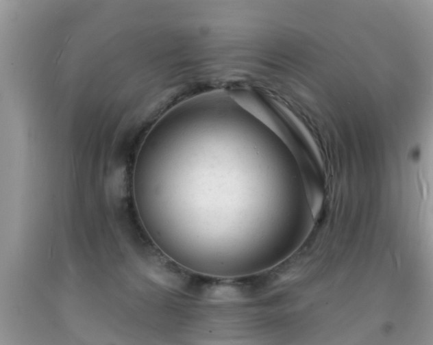X0000091970224200709131345