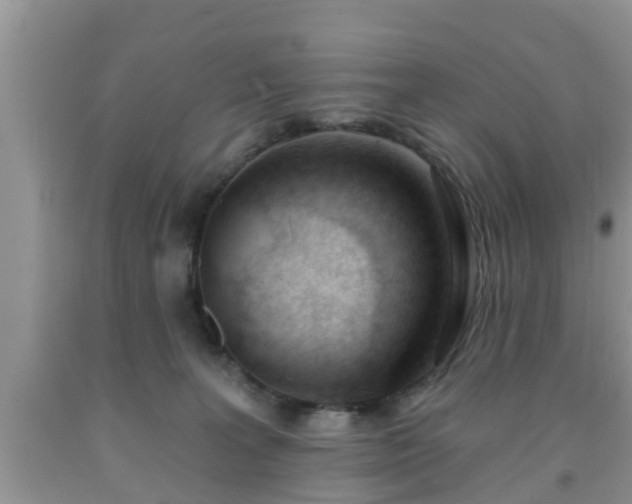 X0000091970227200709131345