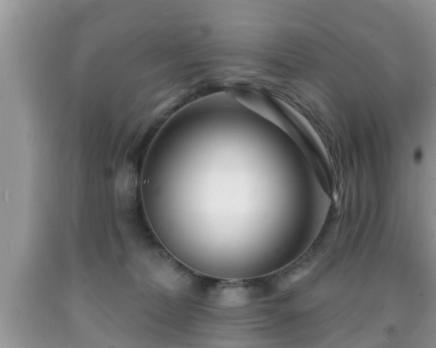 X0000091970228200709131345