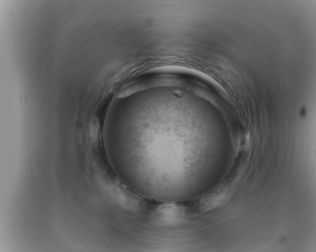 X0000091970231200709131345