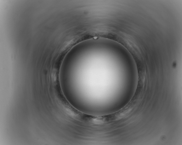 X0000091970232200709131345