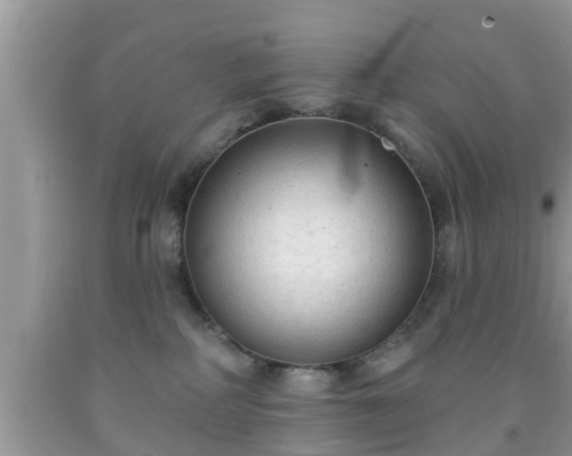 X0000091970234200709131345
