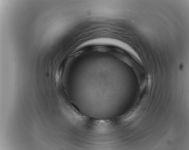 X0000091970239200709131345