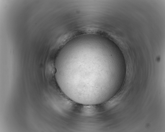 X0000091970240200709131345