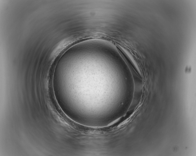 X0000091970242200709131344