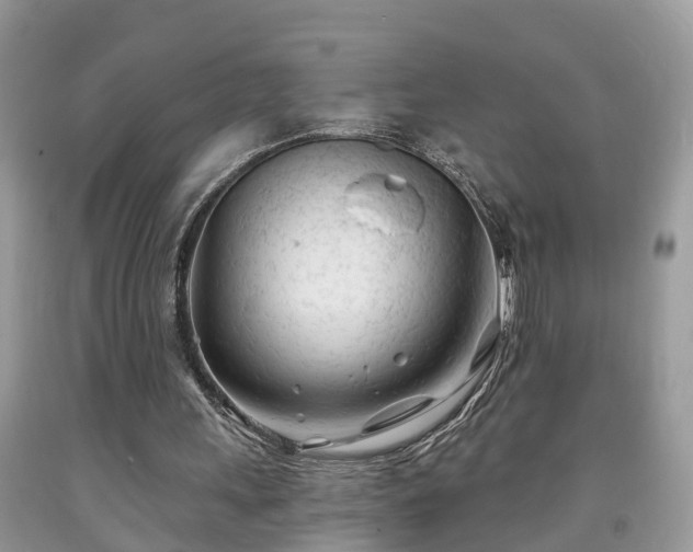 X0000091970243200709131344