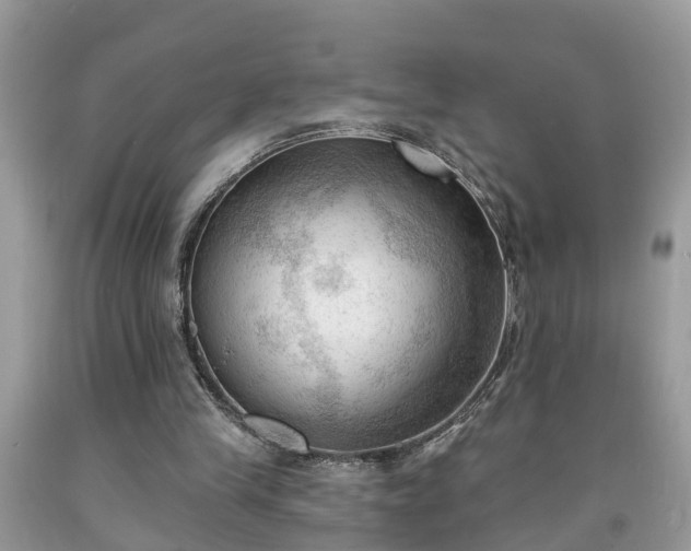 X0000091970245200709131344
