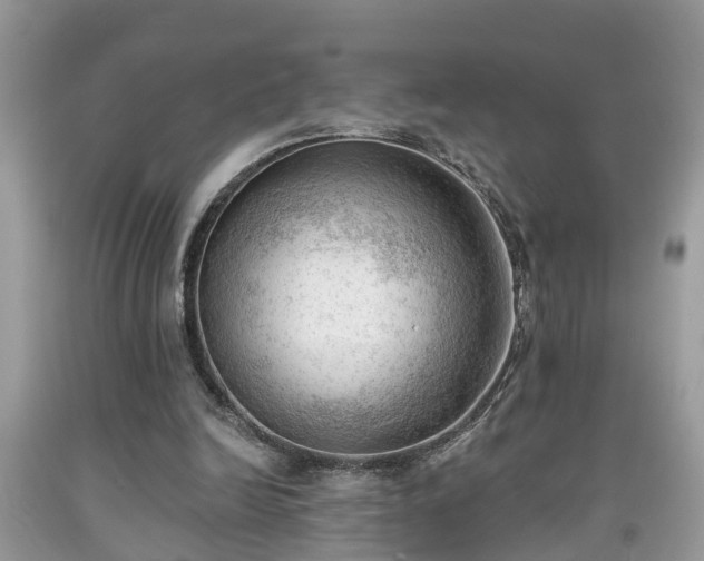 X0000091970246200709131344