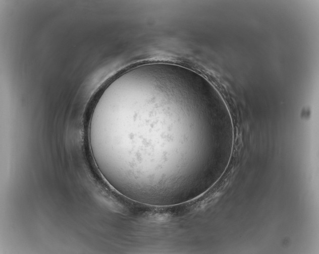 X0000091970247200709131344