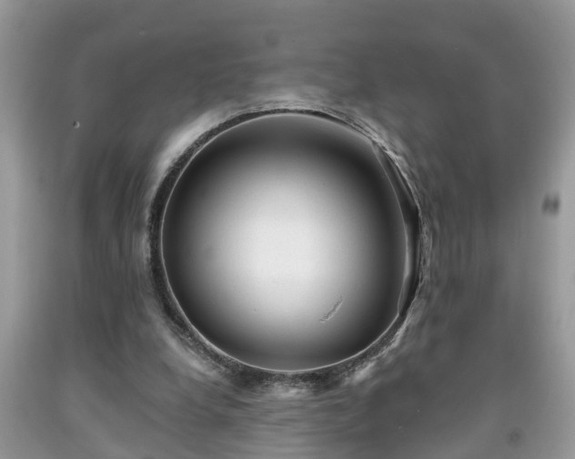 X0000091970248200709131344