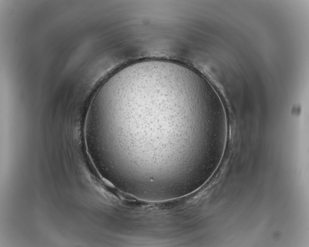 X0000091970249200709131344