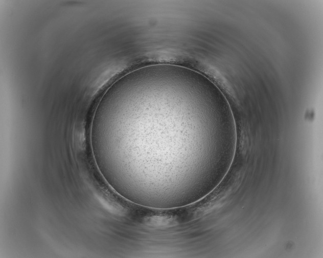 X0000091970251200709131344