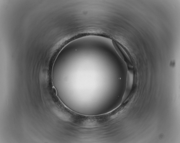X0000091970252200709131344