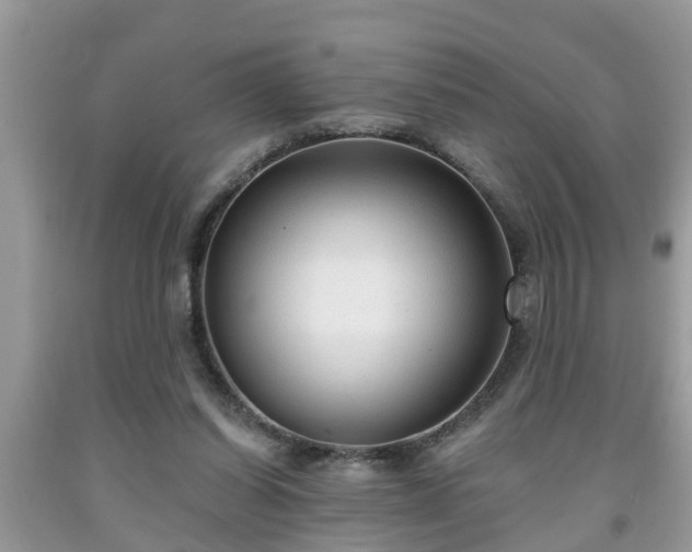X0000091970254200709131344