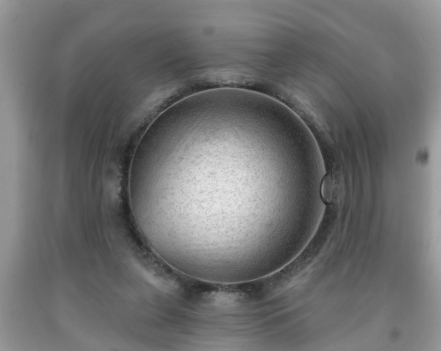 X0000091970255200709131344