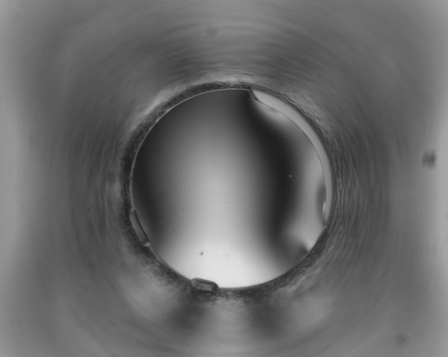 X0000091970256200709131344