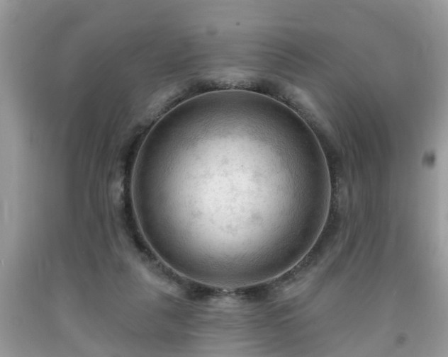 X0000091970259200709131345