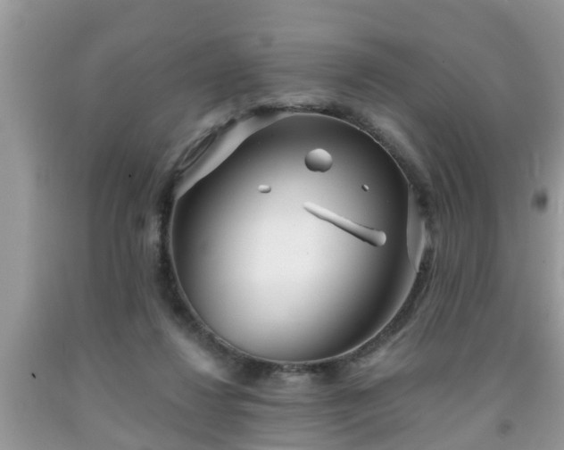 X0000091970260200709131345