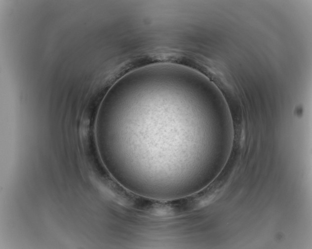 X0000091970263200709131345