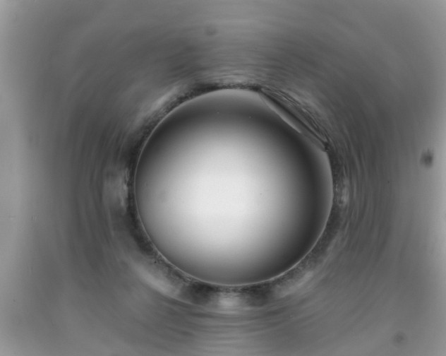 X0000091970264200709131345