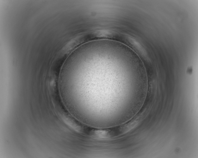 X0000091970265200709131345
