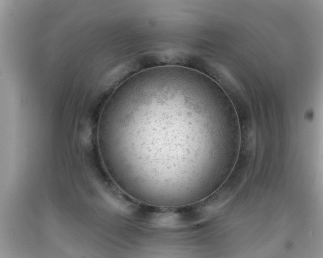 X0000091970266200709131345
