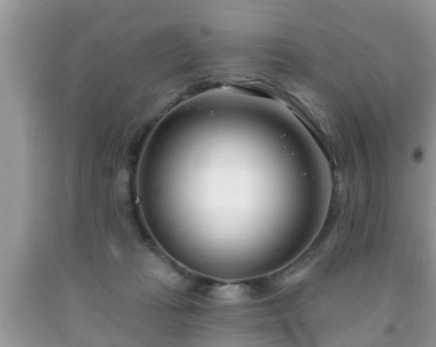 X0000091970269200709131345
