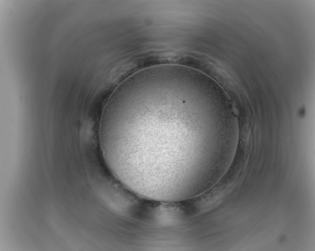 X0000091970270200709131345
