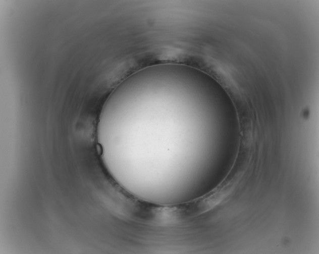 X0000091970273200709131345