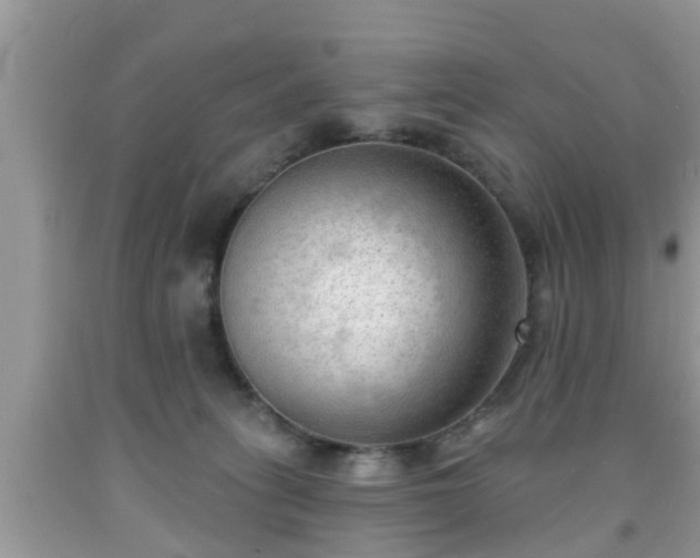X0000091970275200709131345
