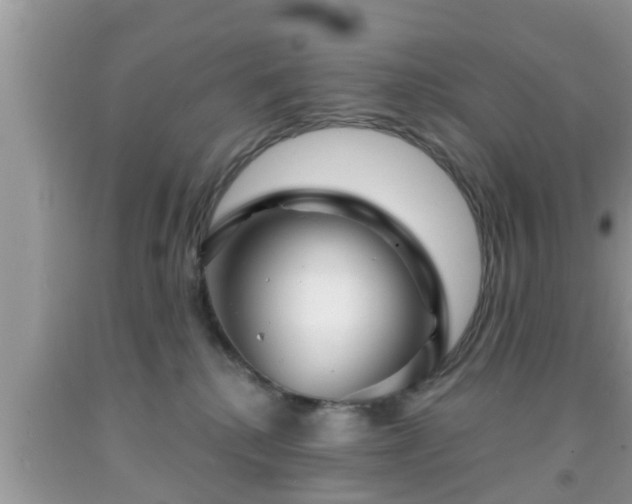 X0000091970280200709131345