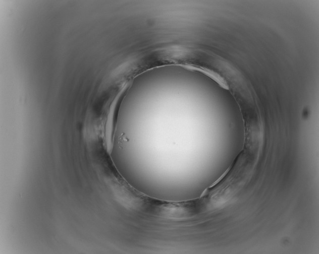 X0000091970284200709131345
