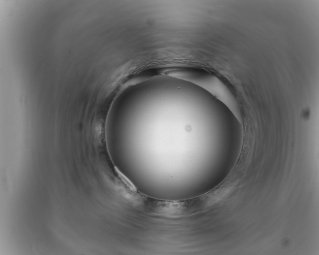 X0000091970288200709131345