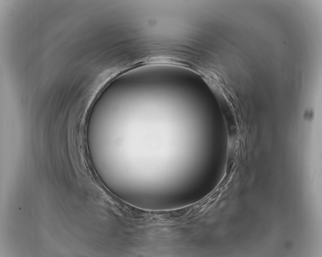 X0000091970289200709131344