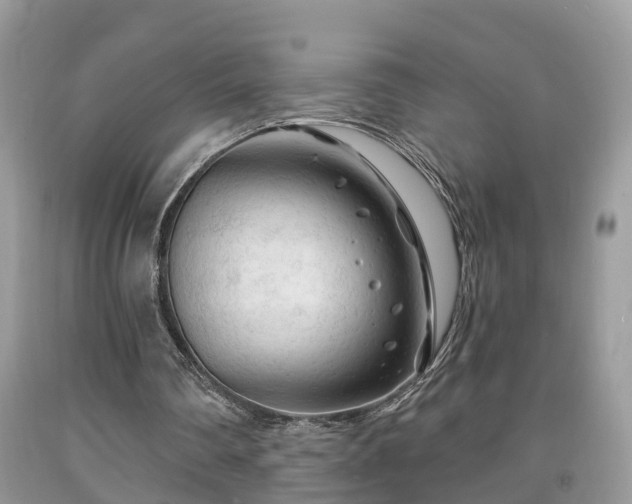 X0000091970290200709131344