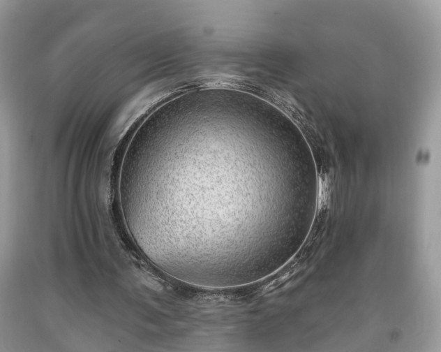X0000091970291200709131344