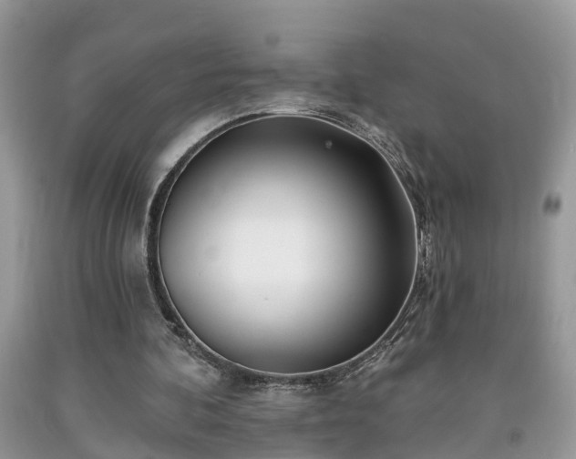 X0000091970292200709131344